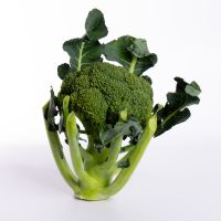 Broccolo (KG)