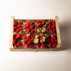 Patate NOVELLE (busta 10Kg) 2 Fragole (Cassetta)