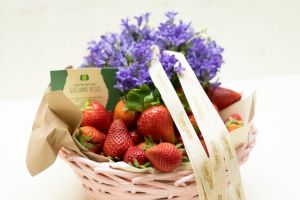 Broccolo (KG) 1 Festa della Mamma