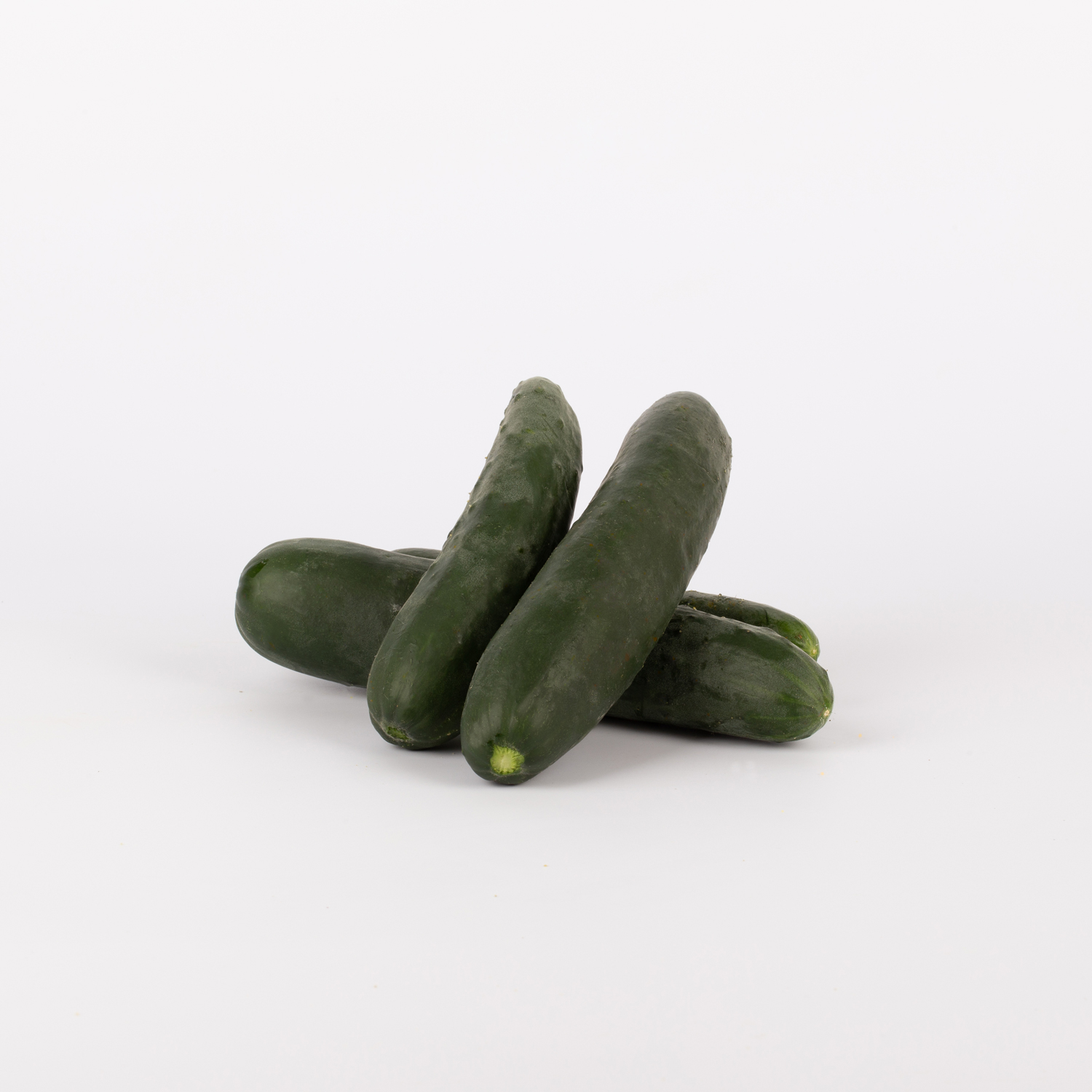 Frontale e trasversale Frontale e trasversale