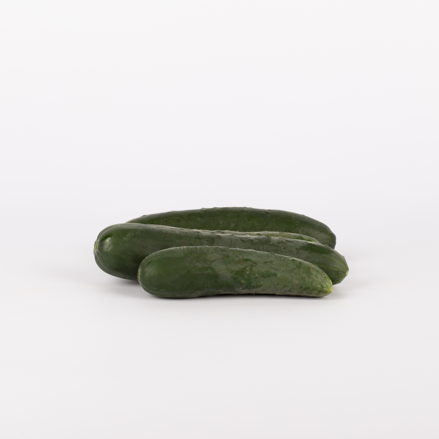 Frontale orizzontale Frontale orizzontale