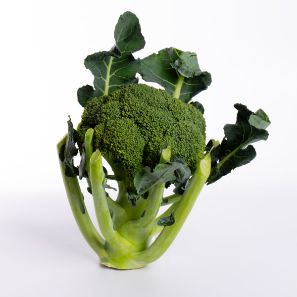 broccolo 3
