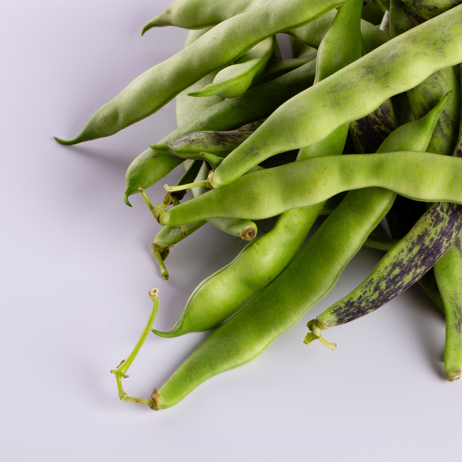 dettagli-faggiolina dettagli faggiolina